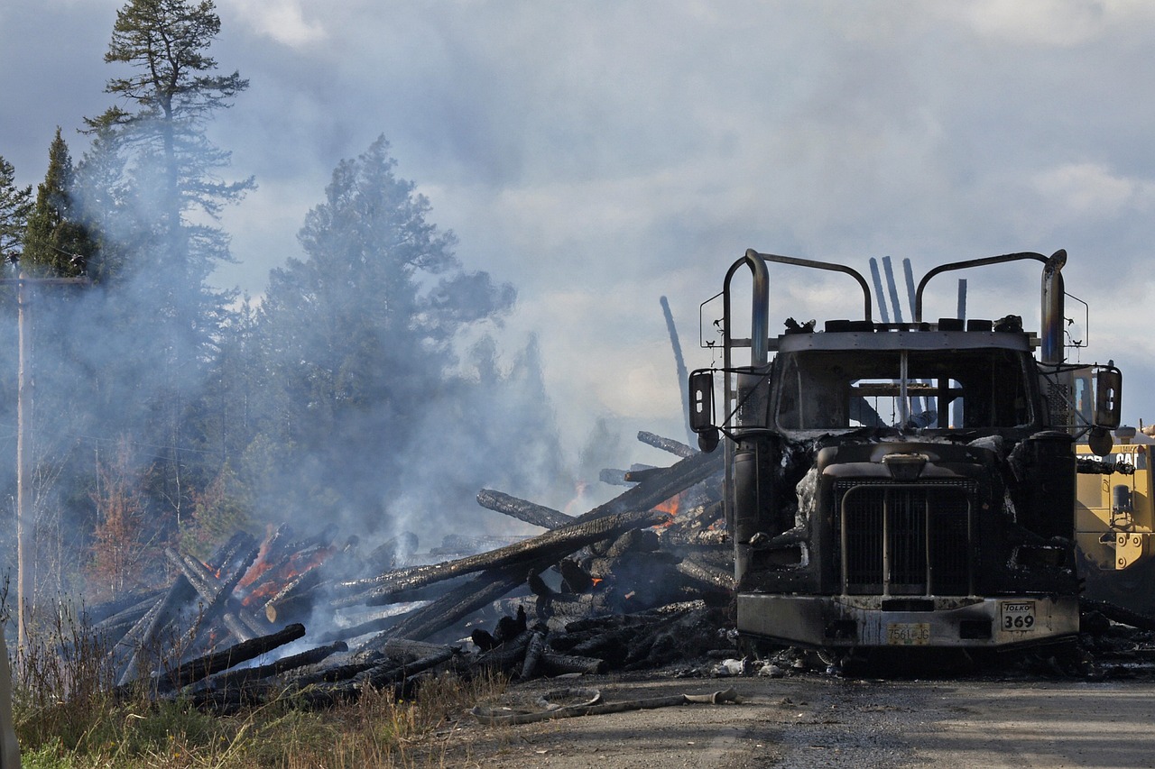logging